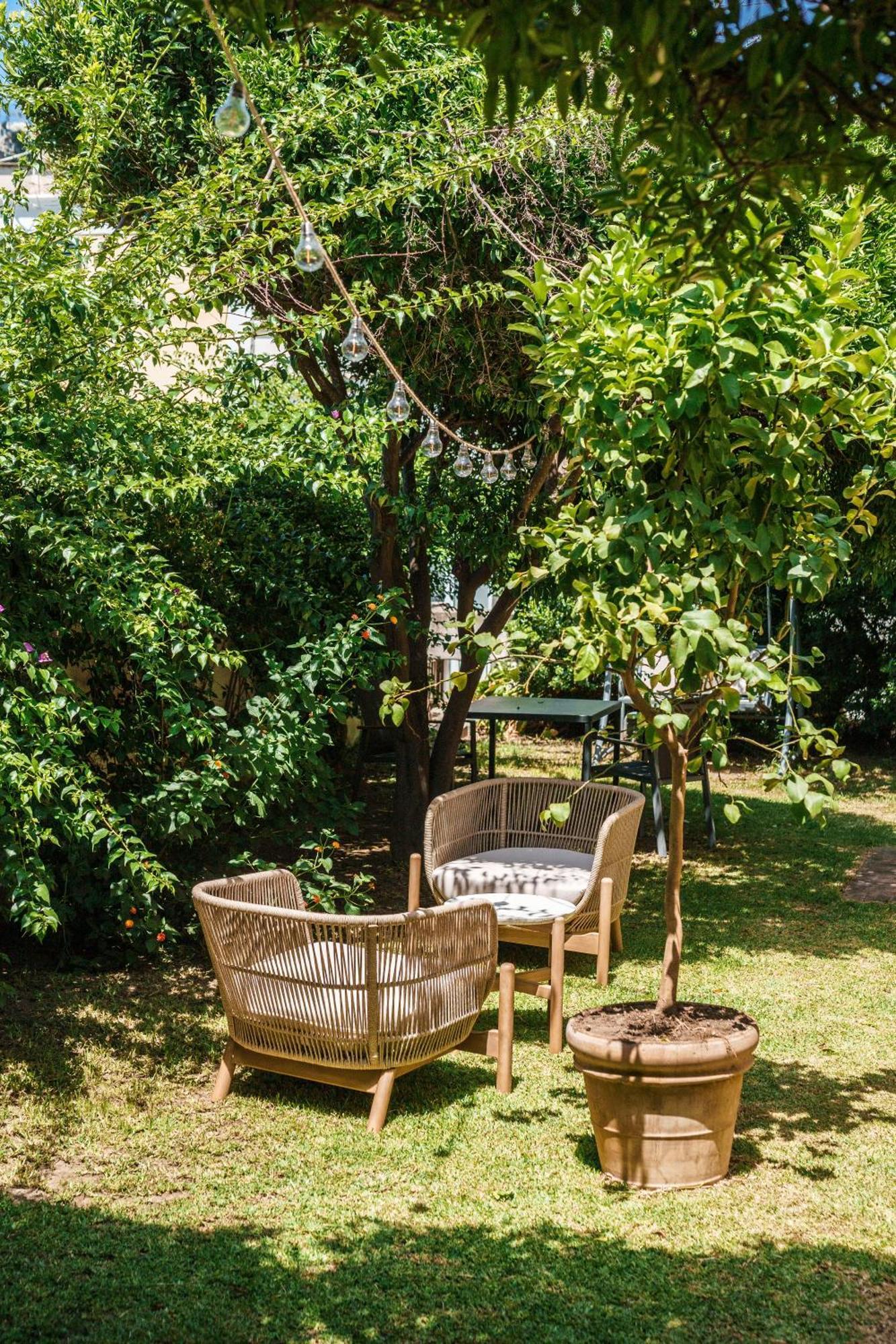 Villa Mazzella Προτσίντα Εξωτερικό φωτογραφία